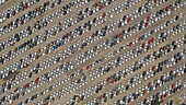 Luftaufnahme von bunten Autos abstrakt geparkt bereit zu verkaufen in Malaga Port, Spanien