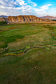 Aerial view of Castle of Van and cattle grazing on pasture,Van,Turkey