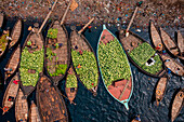 Luftaufnahme von Menschen, die Wassermelonen aus Booten entlang des Buriganga-Flusses abladen, Dhaka Katwali Thana, Dhaka, Bangladesch