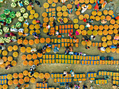 Aerial view of a local food market in Dhaka,Bangladesh