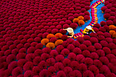 Aerial view of Vietnamese workers picking incense sticks from an incense field in Huy?n ?ng Hòa,Hanoi,Vietnam