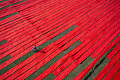 Aerial view of people working in a field stretching red cotton fabric rolls in Narsingdi,Dhaka,Bangladesh