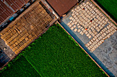 Aerial view of Women at work on the preparation of natural fabric,Barga,Rajshahi,Bangladesh