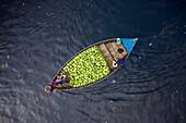 Aerial view of farmer working together onboard of a wooden boat unloading watermelons along Buriganga river in Dhaka,Bangladesh