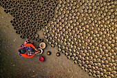 Aerial view of hundreds of clay pots are laid out to dry under the burning sunshine and coloring of clay pots in Bogura,Bangladesh