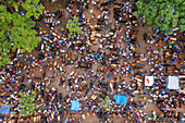 Aerial view of people feeding animals at Goru Hate,a cattle selling point in Sherpur,Rajshahi province,Bangladesh