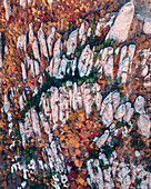 Aerial view of sharp rocks amongst autumn forest of the Valley of ghosts on the mountain Demerdzhi,Crimea republic,Russia
