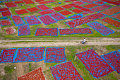 Dhaka,Bangladesh - 18 May 2021: Aerial view of people working in fields drying red chilies at Mirzapur,Panchagarh,Bangladesh