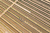 Aerial view of a brick factory from above,people working arranging the bricks near Keraniganj township,Dhaka province,Bangladesh