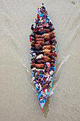 Narayanganj,Bangladesh - 19 July 2021: Aerial view of cattle squeezed on a boat crossing the river in Narayanganj,Bangladesh