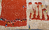 Sariakandi,Bangladesh - 02 January 2020: Aerial view of people working in a small farm collecting red chillies In a field,Rajshahi province,Bangladesh