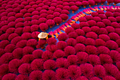 Aerial view of incense workers sits surrounded by thousands of incense sticks,where the sticks have been traditionally made for hundreds of years in Quang Phu Cau,Hanoi,Vietnam