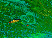 Aerial view of fishermen on a canoe sailing the Jamuna river,Bangladesh
