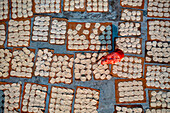 Aerial view of Women at work on the preparation of natural fabric,Barga,Rajshahi,Bangladesh