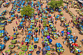 Shibganj,Bangladesh - 14 June 2019: Aerial view of a few people working at Kansat mango Bazar,the largest mango market in the world,Shibganj province,Bangladesh