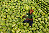Dhaka,Bangladesch - 19. April 2019: Blick auf eine Person, die Wassermelonen von einem Boot am Stadthafen in Dhaka,Bangladesch entlädt