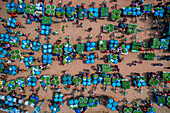 Aerial view of a fruit market,Kansat,Chapai Nowabganj,Rajshahi,Bangladesh
