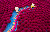 Aerial view of Vietnamese workers picking incense sticks from an incense field in Huy?n ?ng Hòa,Hanoi,Vietnam