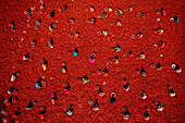 Aerial view of people working in a small farm collecting red chillies In a field,Rajshahi province,Bangladesh
