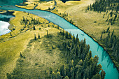 Aerial view of a river crossing the forest near Srednemul'tinskoye Ozero lake,Verkh-Uymonskoe,Altai region,Russia