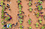 Shibganj,Bangladesh - 14 June 2019: Aerial view of a few people working at Kansat mango Bazar,the largest mango market in the world,Shibganj province,Bangladesh