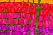 Aerial view of a woman working placing colourful towels in a field near Araihazar,Dhaka district,Bangladesh
