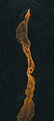 Aerial view of a lava river during the eruption in Iceland