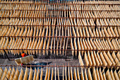 Aerial view of people working on the production of typical natural fabric,Barga,Rajshahi,Bangladesh