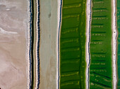 Aerial view of a salt mine with different hues of green and salt dividers running vertically through the image,Western Australia. Top down perspective