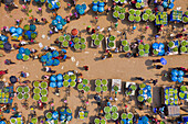 Shibganj,Bangladesh - 14 June 2019: Aerial view of a few people working at Kansat mango Bazar,the largest mango market in the world,Shibganj province,Bangladesh