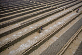 Dhamrai,Bangladesh - 26 March 2019: Aerial view of a few people working in a brick factory,Dhaka province,Bangladesh