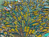 Aerial view of floating market of seasonal fruits on the boats in Kaptai Lake,Rangamati,Bangladesh