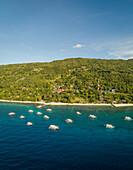 Aerial view of filipino boats,coastline and forest near Oslob,Philippines
