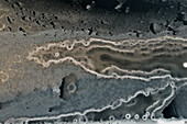 Luftaufnahme von Eismustern auf dem River Spey im Winter,Kincraig,Vereinigtes Königreich
