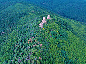 Aerial view of lush greenery and ancient castle ruins amidst a dense forest on a hilltop,Husseren-les-Chateaux,France