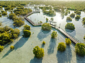 Luftaufnahme von Jubail Mangrove,Abu Dhabi,Vereinigte Arabische Emirate