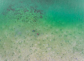 Aerial view of two men fishing near Borja Bridge,Dauis,Philippines