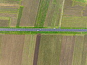 Luftaufnahme von gestreiftem Ackerland mit geometrischen Mustern und einer Landstraße, Kaysersberg, Frankreich