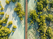 Luftaufnahme von Jubail Mangrove, Abu Dhabi, Vereinigte Arabische Emirate