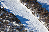 Luftaufnahme des Skigebiets Mount Buller mit Skifahrern auf verschneiten Pisten, umgeben von Bäumen, Victoria, Australien