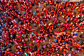 Nandgaon,India - 01 March 2023: Aerial view of people celebrating the holy colour festival at Shri And Baba Temple,Uttar Pradesh,India
