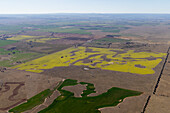 Luftaufnahme von ausgedehntem Ackerland mit gelben und grünen Feldern, Melton, Victoria, Australien