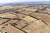 Luftaufnahme von ausgedehntem Ackerland mit Baumreihen und einem ruhigen Himmel, Winchelsea, Victoria, Australien