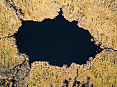 Aerial view of a small bog lake in Lithuania