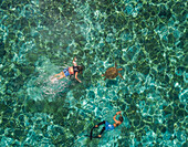 Aerial view of two people snorkeling with turtle in Panagsama Beach,Philippines
