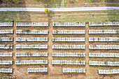 Aerial view above of old war tanks line up,Italy