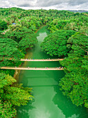 Aerial view of Sipatan Twin Hanging Bridge,Loboc,Philippines