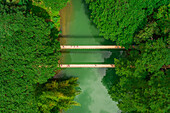 Aerial view of Sipatan Twin Hanging Bridge,Loboc,Philippines