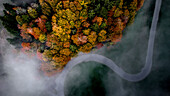 Aerial view of Fall in Entlebuch,Switzerland. Image features a road that curves through the landscape of orange,red and green trees