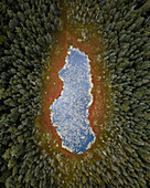 Aerial view of serene lake surrounded by lush forest and tranquil trees,Brantingham,United States